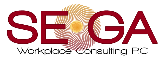 SEGA Workplace Consulting